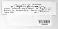 Septoria quercicola image